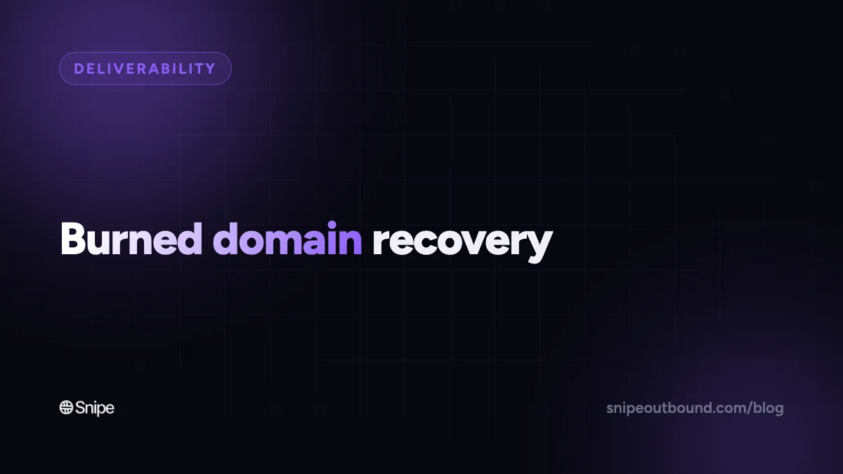 "I Burned the Hell Out of Our Domain": The Email Domain Recovery Plan