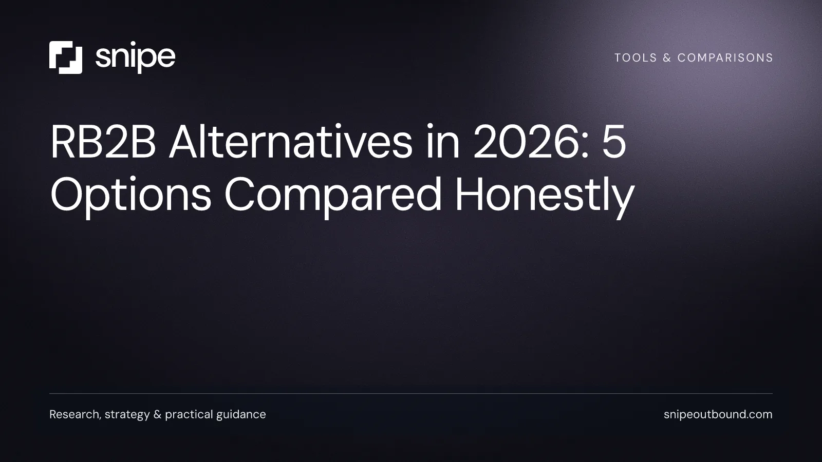 RB2B Alternatives in 2026: 5 Options Compared Honestly — Snipe guide